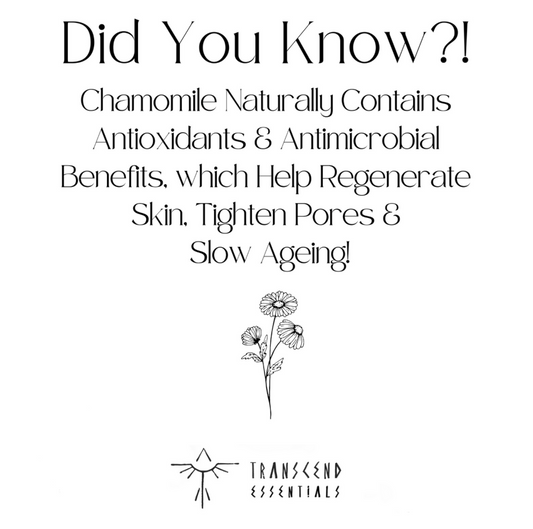 Eye Correcting Serum