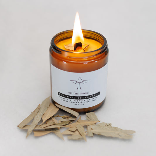 A lit amber glass candle labeled “Transcend Essentials – Euphoric Eucalyptus” sits on a light surface, with a small pile of dried eucalyptus leaves in front of it. The candle features a wooden wick and is made from organic beeswax with Eucalyptus essential oil.