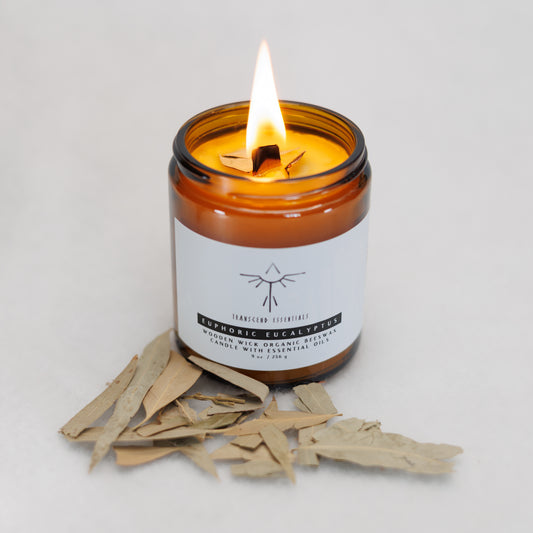 Euphoric Eucalyptus Organic Beeswax Candle